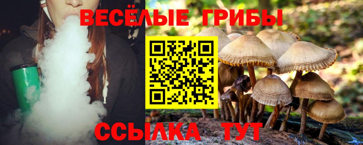 Кудрово  Галлюциногенные грибы Cubensis  Вход с VPN 